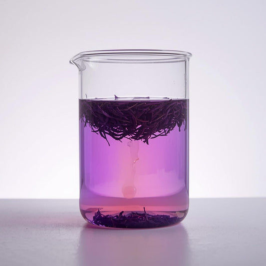 purple tea in glass showing anthocyanin rich infusion