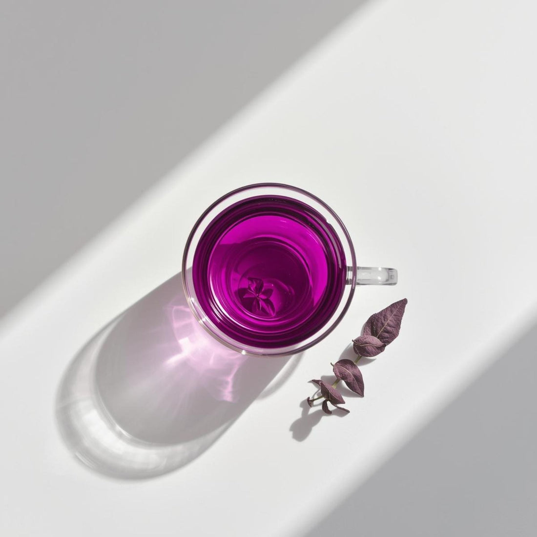 Top view of vibrant purple tea in a glass cup highlighting anthocyanin-rich color on a minimal white background