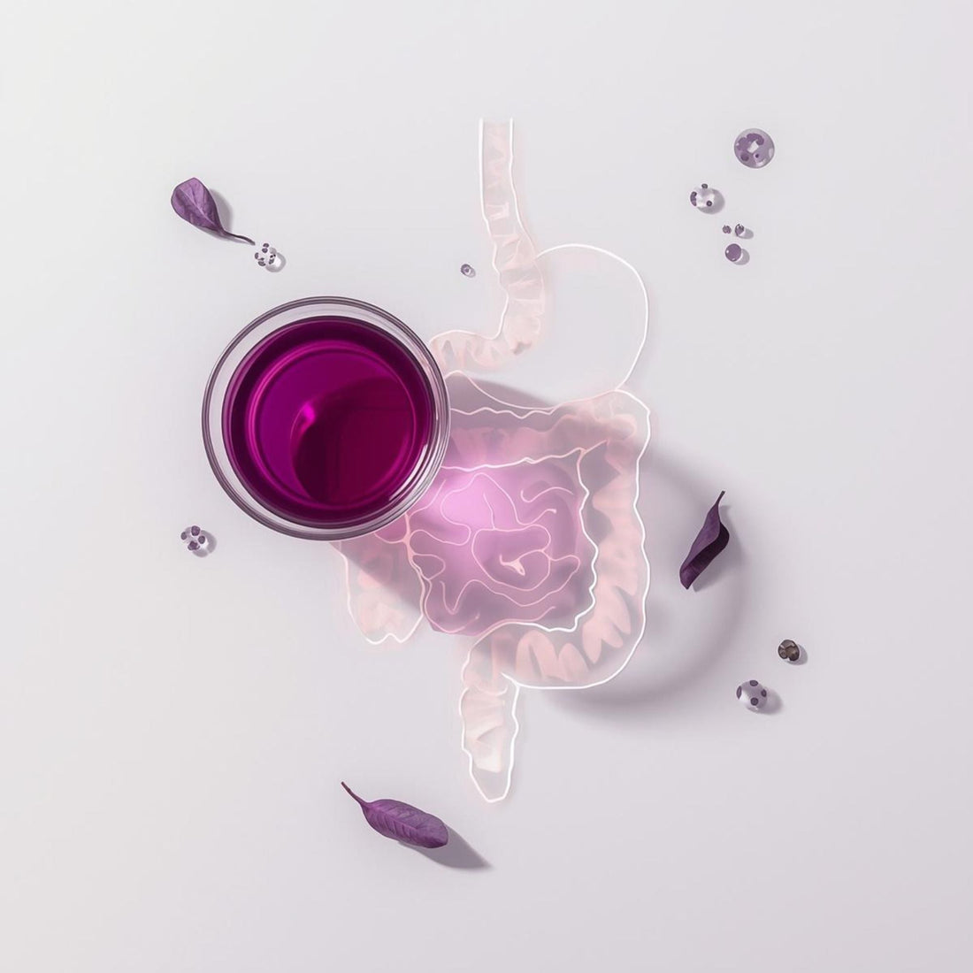 purple tea in glass teacup for gut health benefits