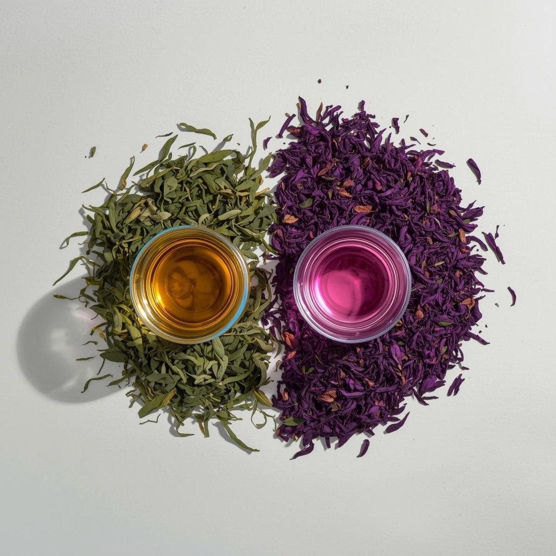 purple tea vs green tea comparison in clear cups