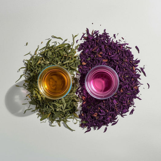 purple tea vs green tea comparison in clear cups