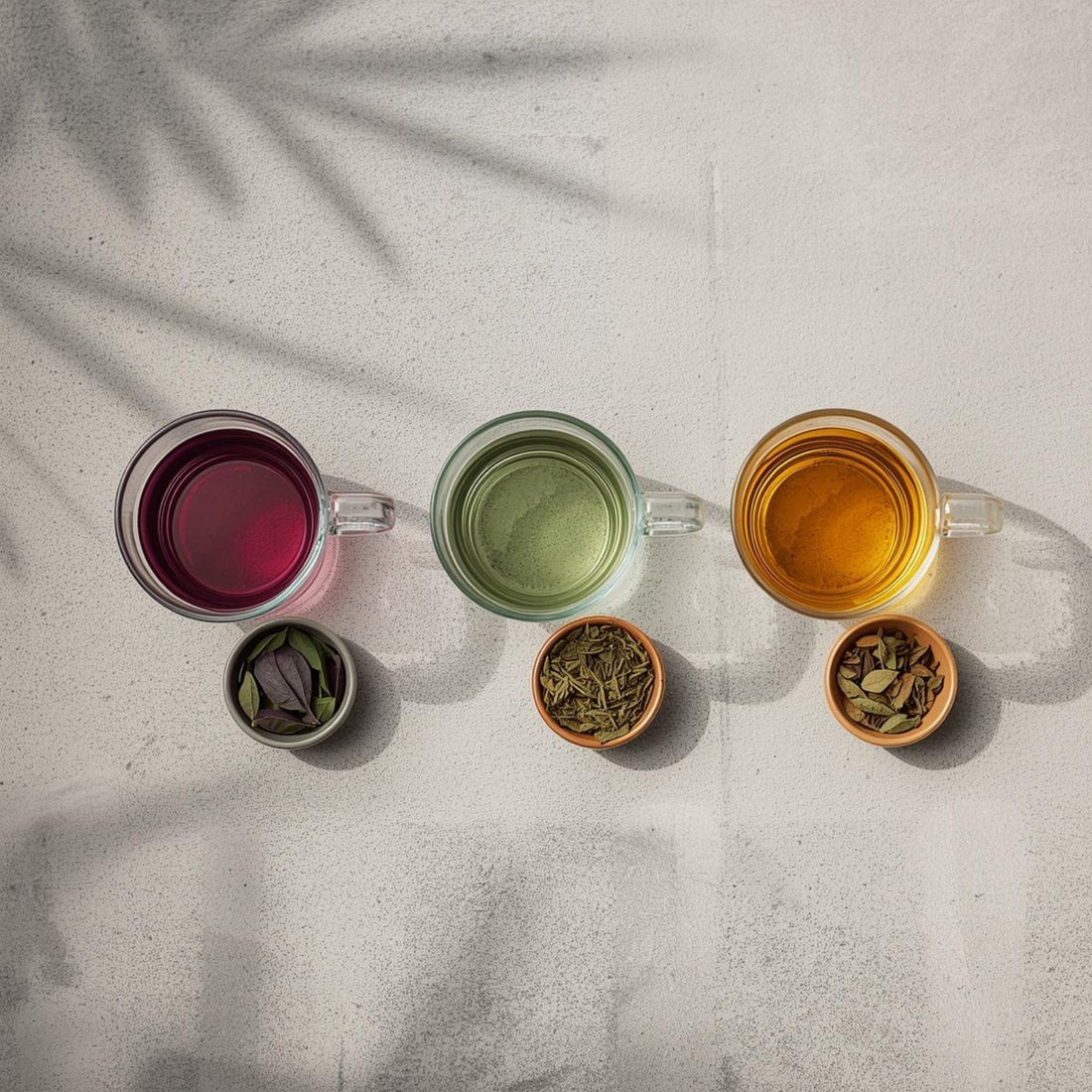 purple tea vs yerba mate in minimalist glass cups
